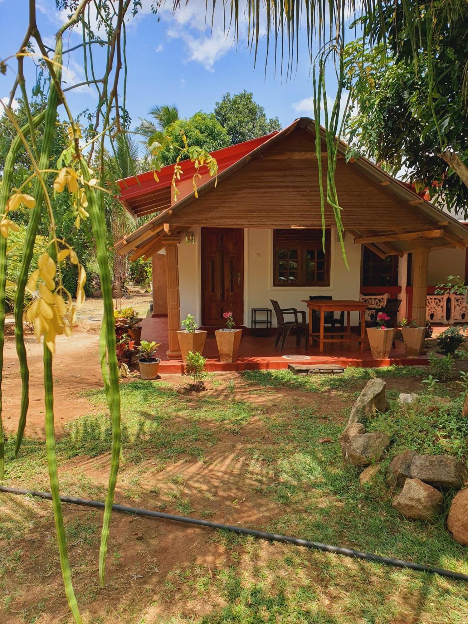 Jungle Eco Lodge & Safari Сигирия Экстерьер фото