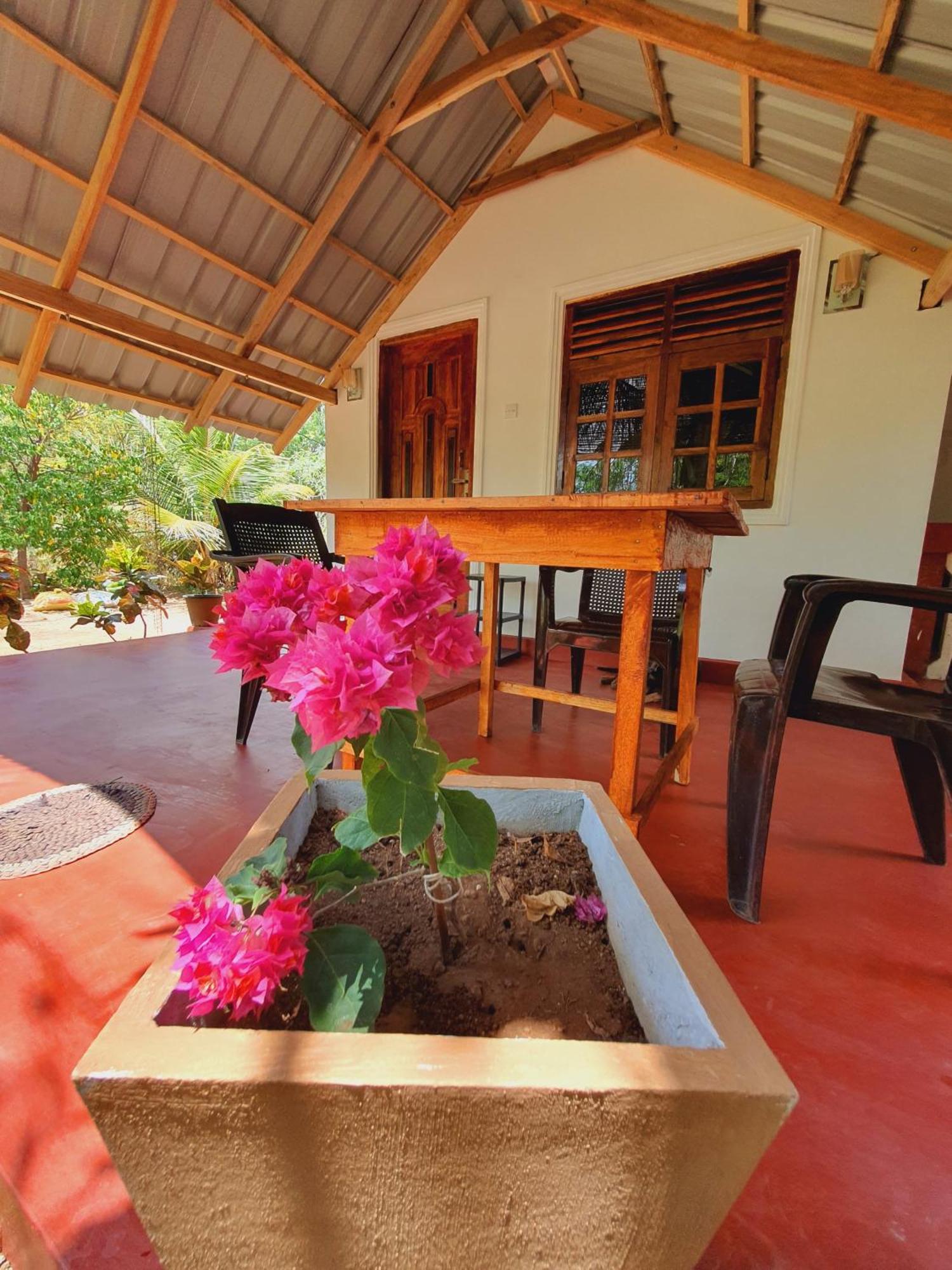 Jungle Eco Lodge & Safari Сигирия Экстерьер фото