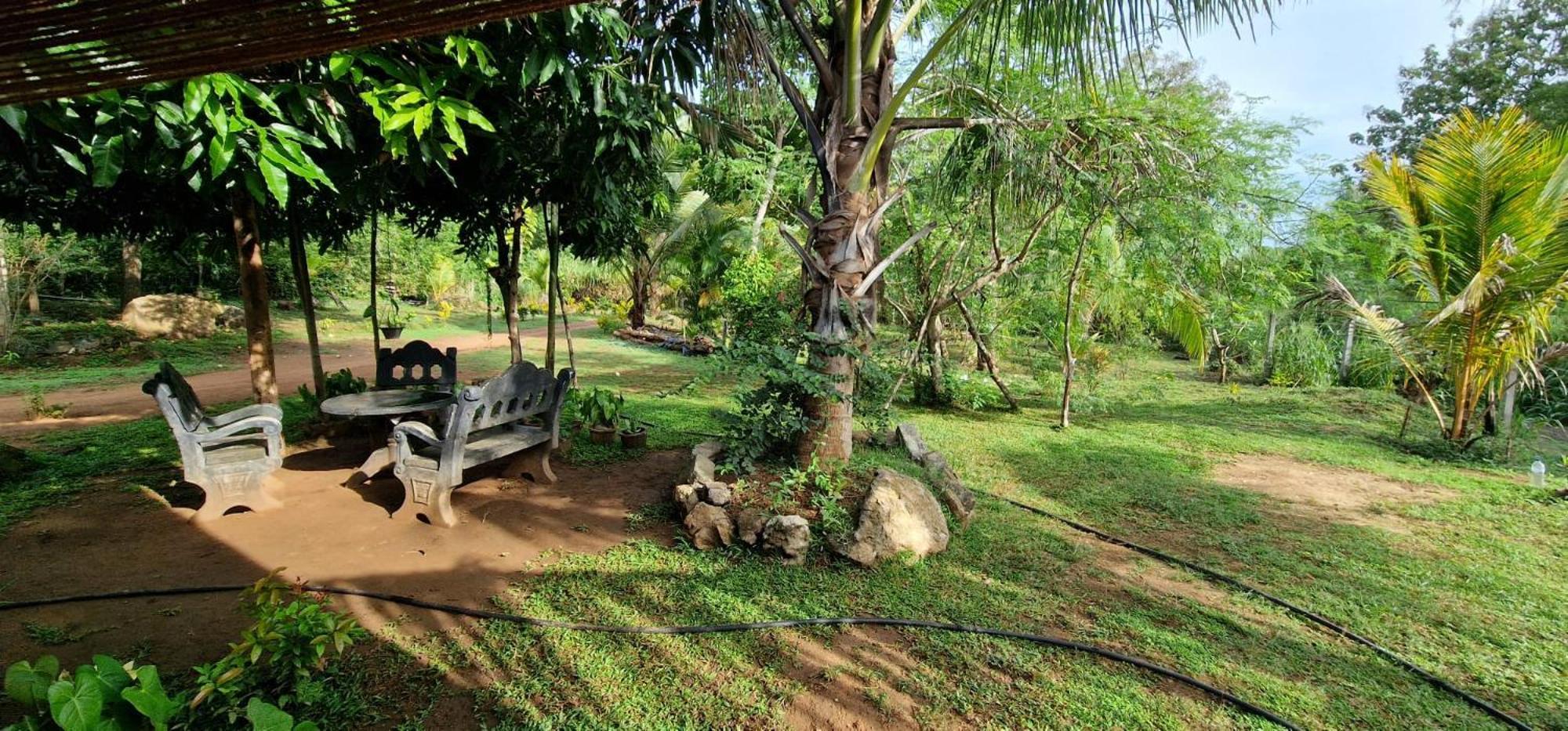 Jungle Eco Lodge & Safari Сигирия Экстерьер фото