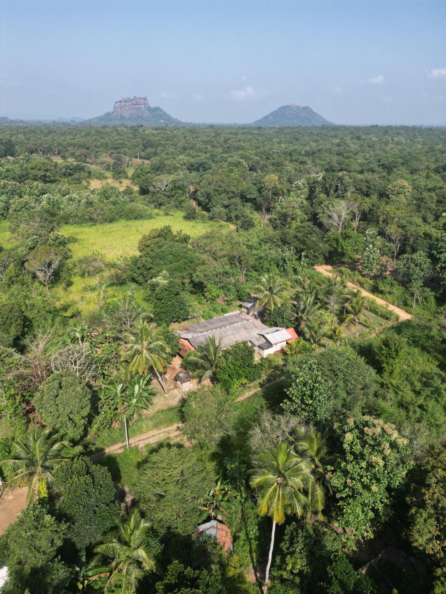Jungle Eco Lodge & Safari Сигирия Экстерьер фото