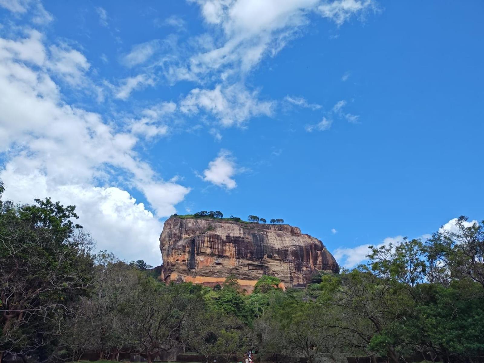 Jungle Eco Lodge & Safari Сигирия Экстерьер фото